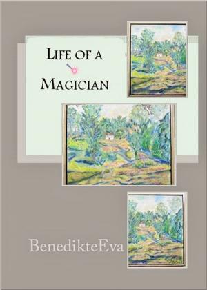 Book cover of Life of a Magician: Magical Contact Lenses 1