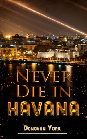 bigCover of the book Never Die In Havana by 