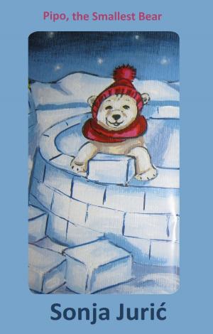 Cover of the book Pipo, the Smallest Bear by Nura Bazdulj-Hubijar