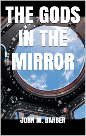 Book cover of The Gods in the Mirror