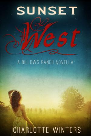 Cover of the book Sunset West by J.B. Brooklin