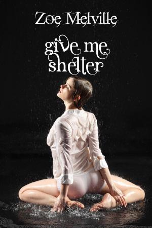bigCover of the book Give Me Shelter: a Short Encounter by 