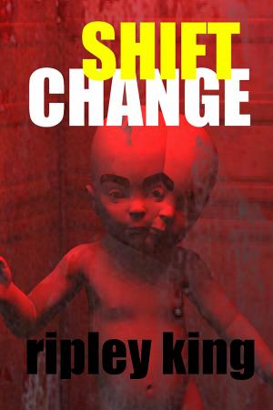 Cover of the book Shift Change by Nikki Blood
