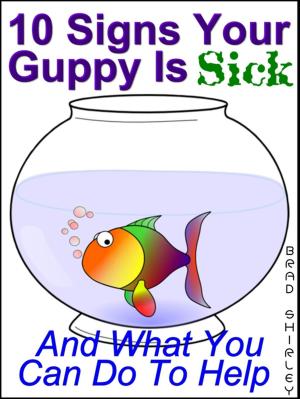 bigCover of the book 10 Signs Your Guppy Is Sick (And What You Can Do To Help) by 
