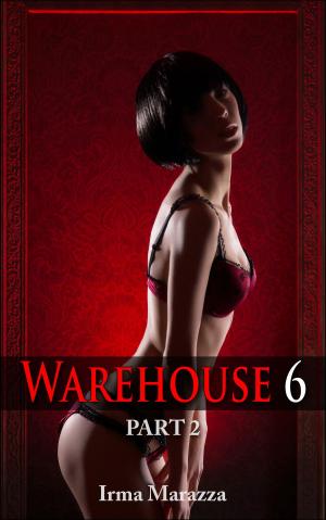 Cover of the book Warehouse 6 Part Two (Hucow Lactation Erotica) by Kayla Kissler