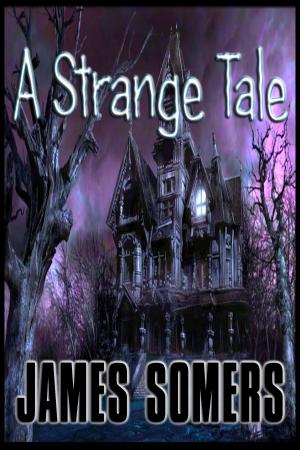 Cover of the book A Strange Tale by Ben McKinnon