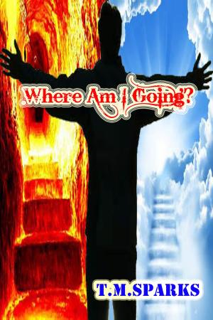 Cover of the book Where Am I Going? by Tope Oni
