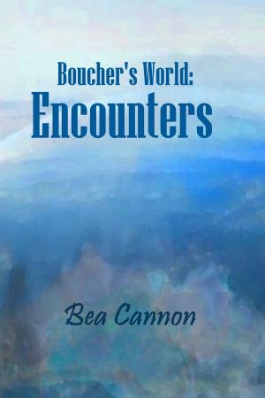 Cover of the book Boucher's World: Encounters by Betsy Streeter