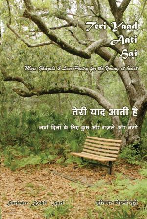 Book cover of Teri Yaad Aati Hai: more Ghazals & Love Poetry for the Young at Heart