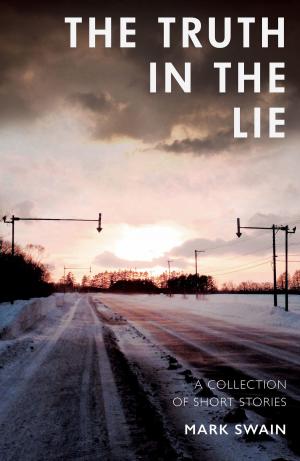 bigCover of the book The Truth In The Lie by 