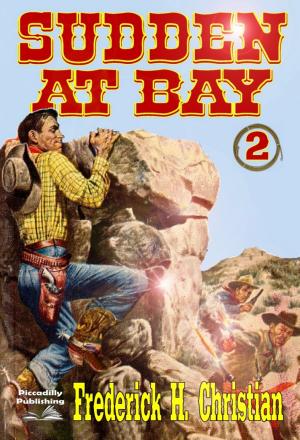 Cover of the book Sudden 2: Sudden - At Bay by Peter McCurtin