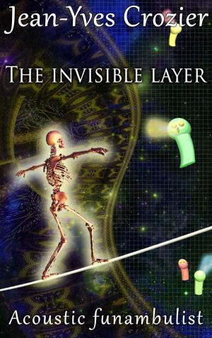 Book cover of The Invisible Layer