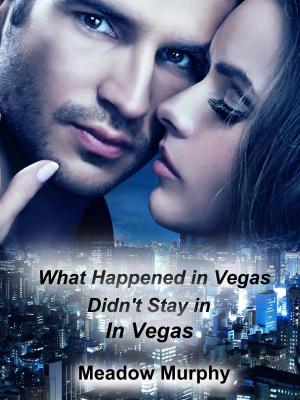 bigCover of the book What Happened in Vegas: Didn't Stay In Vegas! by 