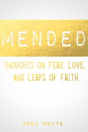 Cover of the book Mended: Thoughts on Fear, Love, and Leaps of Faith by Tony Buxton