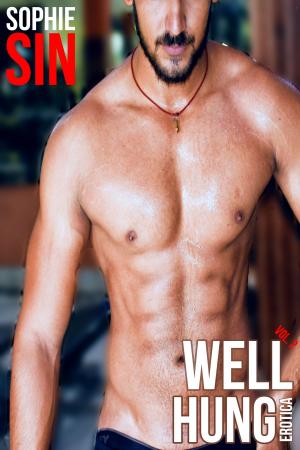 Cover of the book Well Hung Erotica Vol. 2 by Sophie Sin