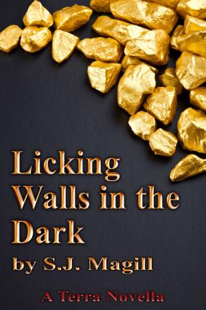 Cover of the book Licking Walls in the Dark by Brian Lambert