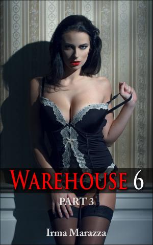 Cover of Warehouse 6 Part Three (Lactation Hucow Erotica)