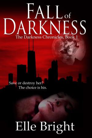 Cover of the book Fall of Darkness by Catherine Spangler