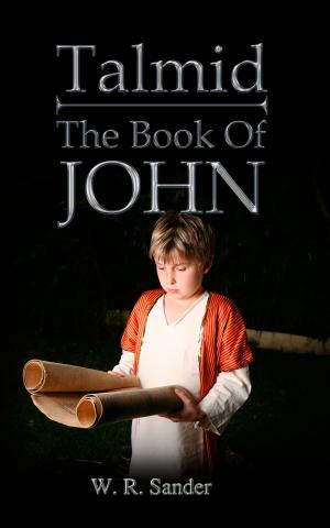 bigCover of the book Talmid: The Book of John by 