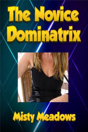 bigCover of the book The Novice Dominatrix (Femdom) by 