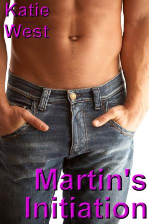Book cover of Martin's Initiation