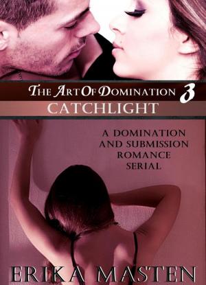 Cover of The Art Of Domination 3: Catchlight (A Domination And Submission Romance Serial)