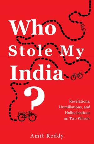 Book cover of Who Stole My India?
