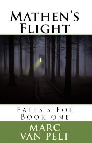 Book cover of Mathen's Flight
