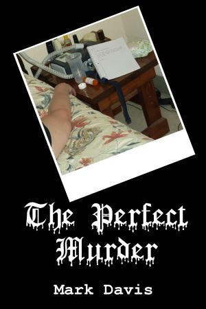 Book cover of The Perfect Murder