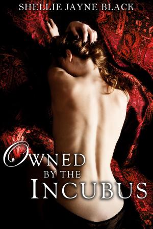 Cover of the book Owned by the Incubus by Ella J. Phoenix