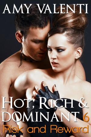 Cover of the book Hot, Rich and Dominant 6 - Risk and Reward by Amy Valenti