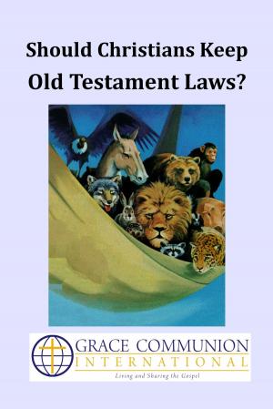 Cover of the book Should Christians Keep Old Testament Laws? by Michael D. Morrison