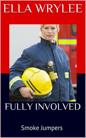 Cover of the book Fully Involved by Amelia Wilde