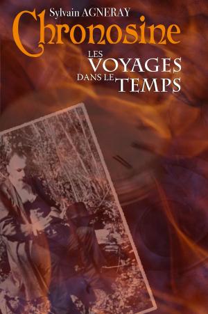 Cover of the book Chronosine: Les Voyages dans le Temps by D.M. Marlowe