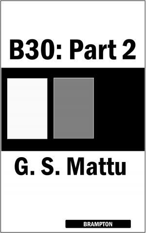 bigCover of the book B30: Part 2 by 