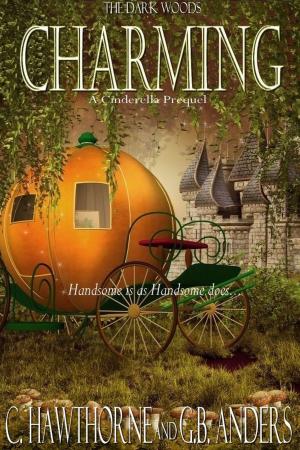 bigCover of the book Charming: A Cinderella Prequel by 