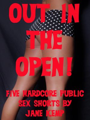 Cover of the book Out in the Open: Five Hardcore Public Sex Shorts by Erika Hardwick