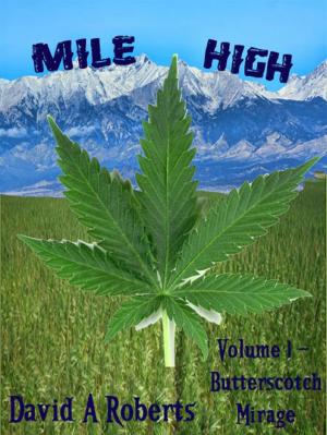 Cover of the book Mile High Volume 1 Butterscotch Mirage by Jeff Elkins