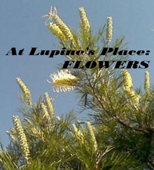 bigCover of the book At Lupine's Place: Flowers by 