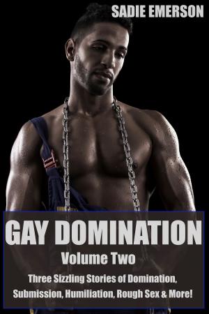 Cover of the book Gay Domination: Volume Two by Walter
