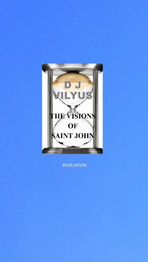 Cover of The Visions of Saint John