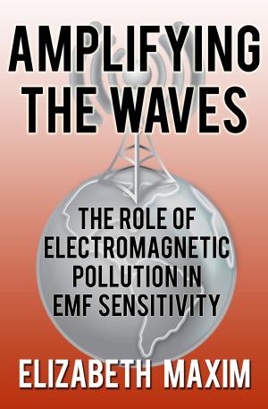 Cover of the book Amplifying the Waves: The Role of Electromagnetic Pollution in EMF Sensitivity by Karen J Miller