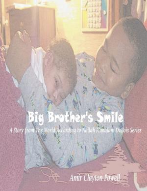 Cover of the book Big Brother's Smile by A. T. Pierson