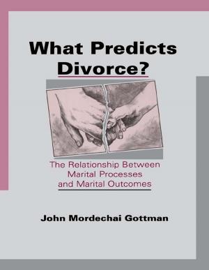 Cover of the book What Predicts Divorce? by Stephen Willier