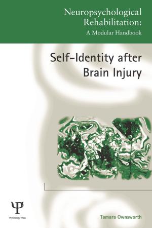 Cover of the book Self-Identity after Brain Injury by Stephen R. Lankton, Carol H. Lankton