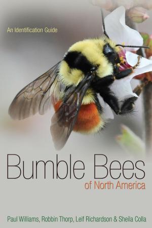 Book cover of Bumble Bees of North America