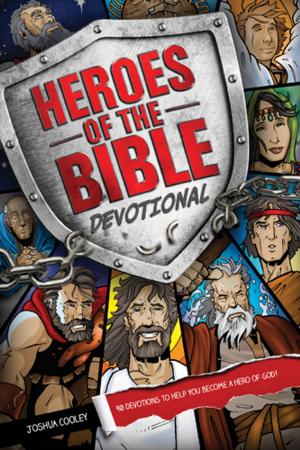 Cover of the book Heroes of the Bible Devotional by Joel C. Rosenberg