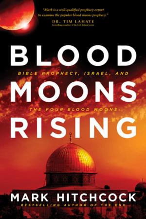 bigCover of the book Blood Moons Rising by 