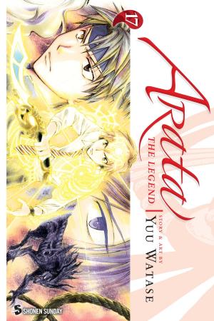 Cover of Arata: The Legend, Vol. 17