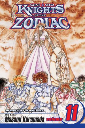 bigCover of the book Knights of the Zodiac (Saint Seiya), Vol. 11 by 